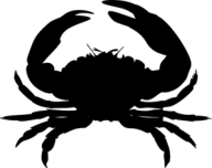 black-crab-md